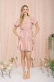 Blush Beauty Dress